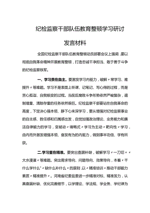 纪检监察干部队伍教育整顿学习研讨发言材料.docx