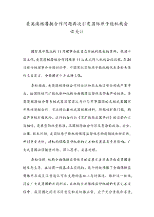 美英澳核潜艇合作问题再次引发国际原子能机构会议关注.docx