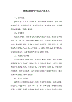 自建房安全专项整治实施方案.docx