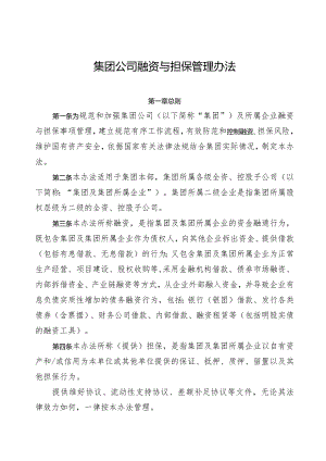 集团公司融资与担保管理办法.docx