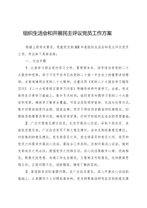 组织生活会和开展民主评议党员工作方案.docx