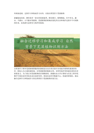 识别自然背景下荒漠植物.docx