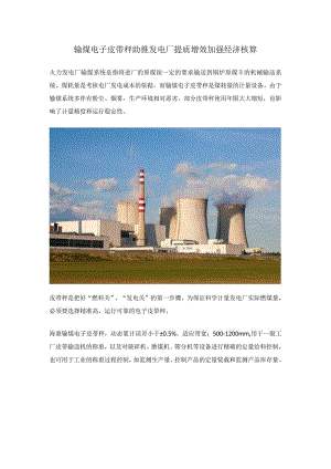 输煤电子皮带秤 助推发电厂提质增效加强经济核算.docx
