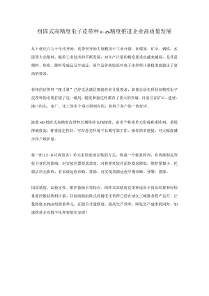 组阵式高精度电子皮带秤 0.2%精度推进企业高质量发展.docx