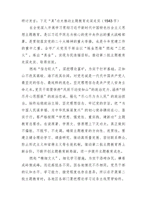 研讨发言：下足“真”功夫推动主题教育走深走实.docx