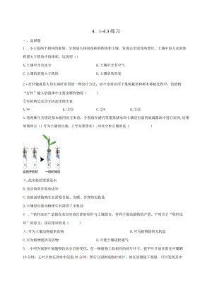 第4章 植物与土壤 （4.1-4.3）综合练习（含解析）.docx