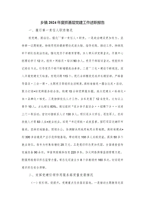 乡镇2024年度抓基层党建工作述职报告.docx