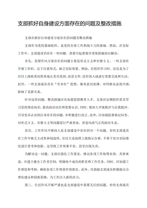 支部抓好自身建设方面存在的问题及整改措施.docx
