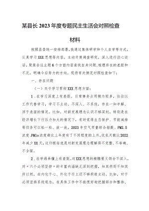 某县长2023年度专题民主生活会对照检查材料1.docx