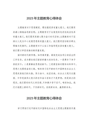 公安民警2023年主题教育心得体会研讨发言八篇.docx