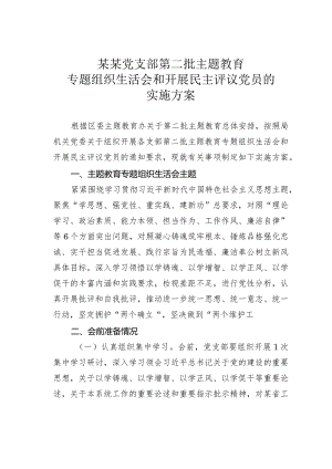 某某党支部第二批主题教育专题组织生活会和开展民主评议党员的实施方案.docx
