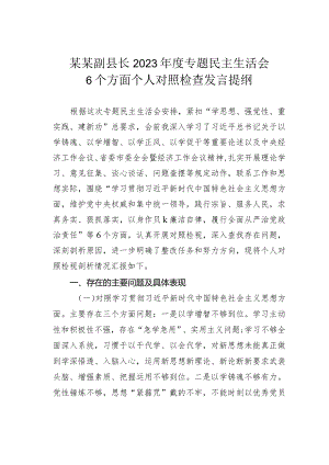 某某副县长2023年度专题民主生活会6个方面个人对照检查发言提纲.docx