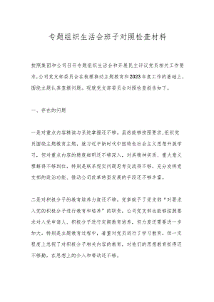 专题组织生活会班子对照检查材料.docx