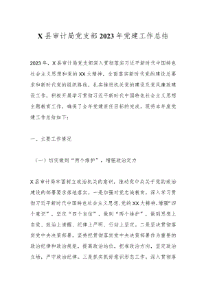 X县审计局党支部2023年党建工作总结.docx