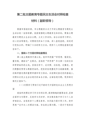 第二批主题教育专题民主生活会对照检查材料（副职领导新六个方面）.docx