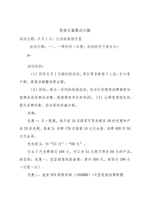 美容方案集合六篇.docx