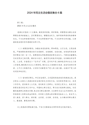 2024年民主生活会整改集合6篇.docx