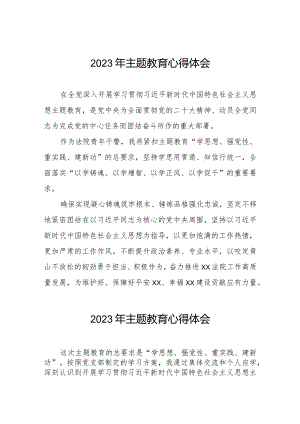 法院青年干警学习2023年第二批主题教育心得体会八篇.docx