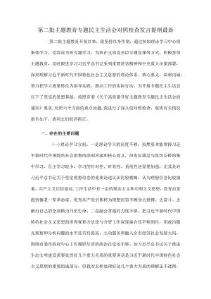 第二批主题教育专题民主生活会对照检查发言提纲最新.docx