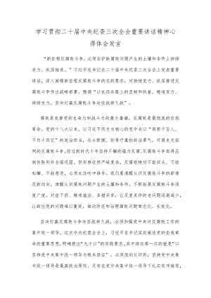 学习贯彻二十届中央纪委三次全会重要讲话精神心得体会发言.docx