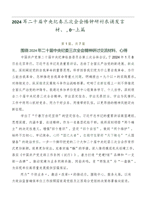 2024年二十届中央纪委三次全会精神研讨交流发言材、心得体会共七篇.docx