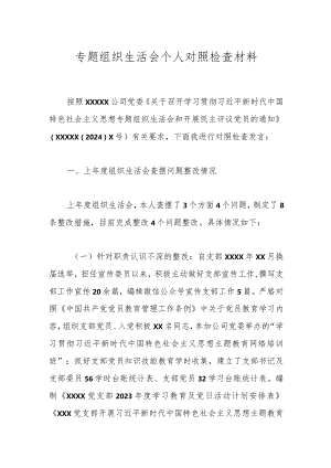 专题组织生活会个人对照检查材料.docx