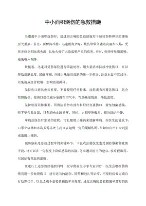 中小面积烧伤的急救措施.docx