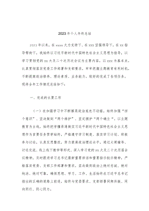 2023年个人年终总结.docx