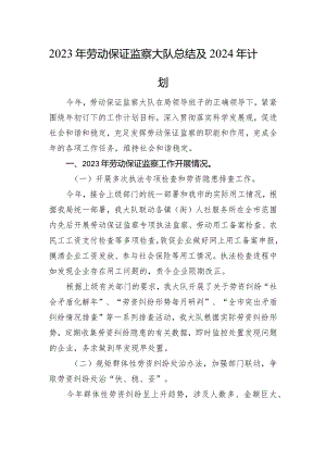 2023年劳动保障监察大队总结及2024年计划.docx