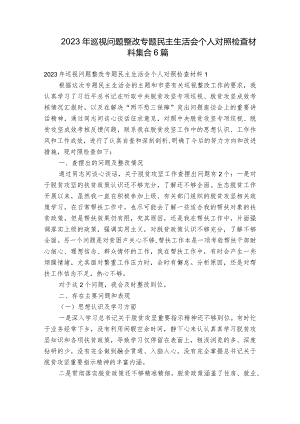 2023年巡视问题整改专题民主生活会个人对照检查材料集合6篇.docx