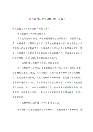 幼儿园园长个人研修总结（3篇）.docx