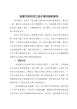 县春节前农民工返乡情况调研报告.docx