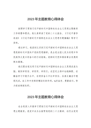 法院开展第二批主题教育学习心得体会八篇.docx