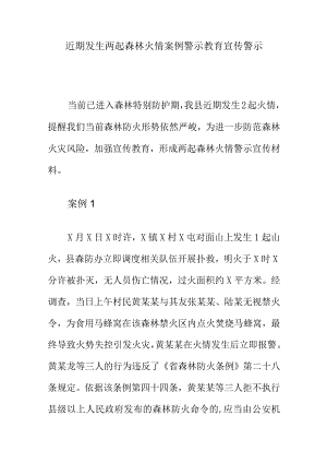 近期发生两起森林火情案例警示教育宣传警示.docx