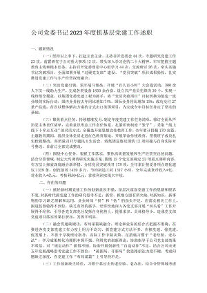 公司党委书记2023年度抓基层党建工作述职.docx