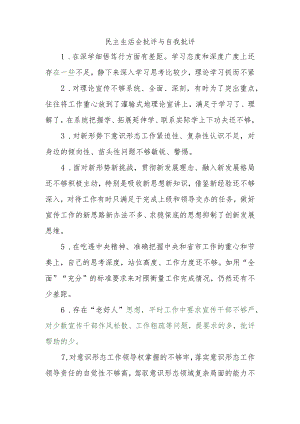 组织生活：2023民主生活会批评与自我批评.docx