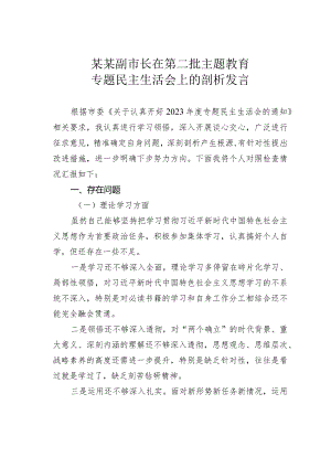 某某副市长在第二批主题教育专题民主生活会上的剖析发言.docx