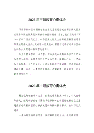 法院关于第二批主题教育学习心得体会交流发言八篇.docx