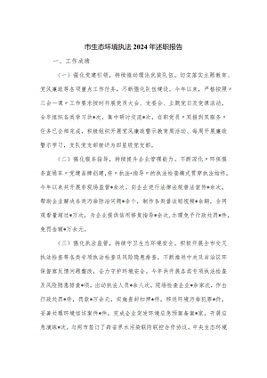 市生态环境执法2024年述职报告.docx