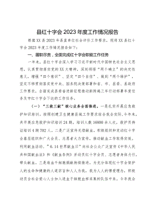 县红十字会2023年度工作情况报告.docx