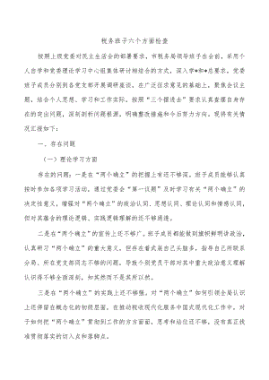税务班子六个方面检查.docx