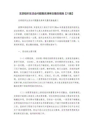 支部组织生活会问题整改清单及整改措施【六篇】.docx