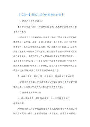 组织生活会问题整改台账六篇.docx