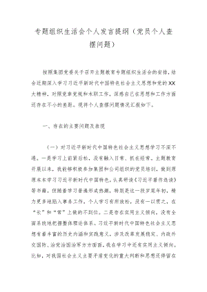 专题组织生活会个人发言提纲（党员个人查摆问题）.docx