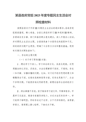 某县政府党组2023年度专题民主生活会对照检查材料.docx