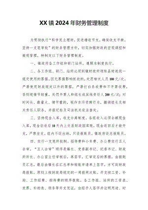 XX镇2024年财务管理制度.docx