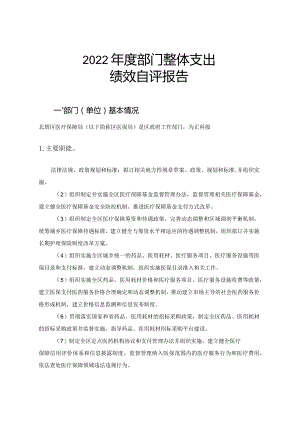 2022年度部门整体支出绩效自评报告.docx
