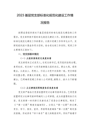 2023基层党支部标准化规范化建设工作情况报告.docx