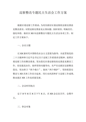 巡察整改专题民主生活会工作方案.docx
