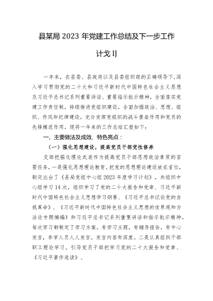 县某局2023年党建工作总结及下一步工作计划.docx